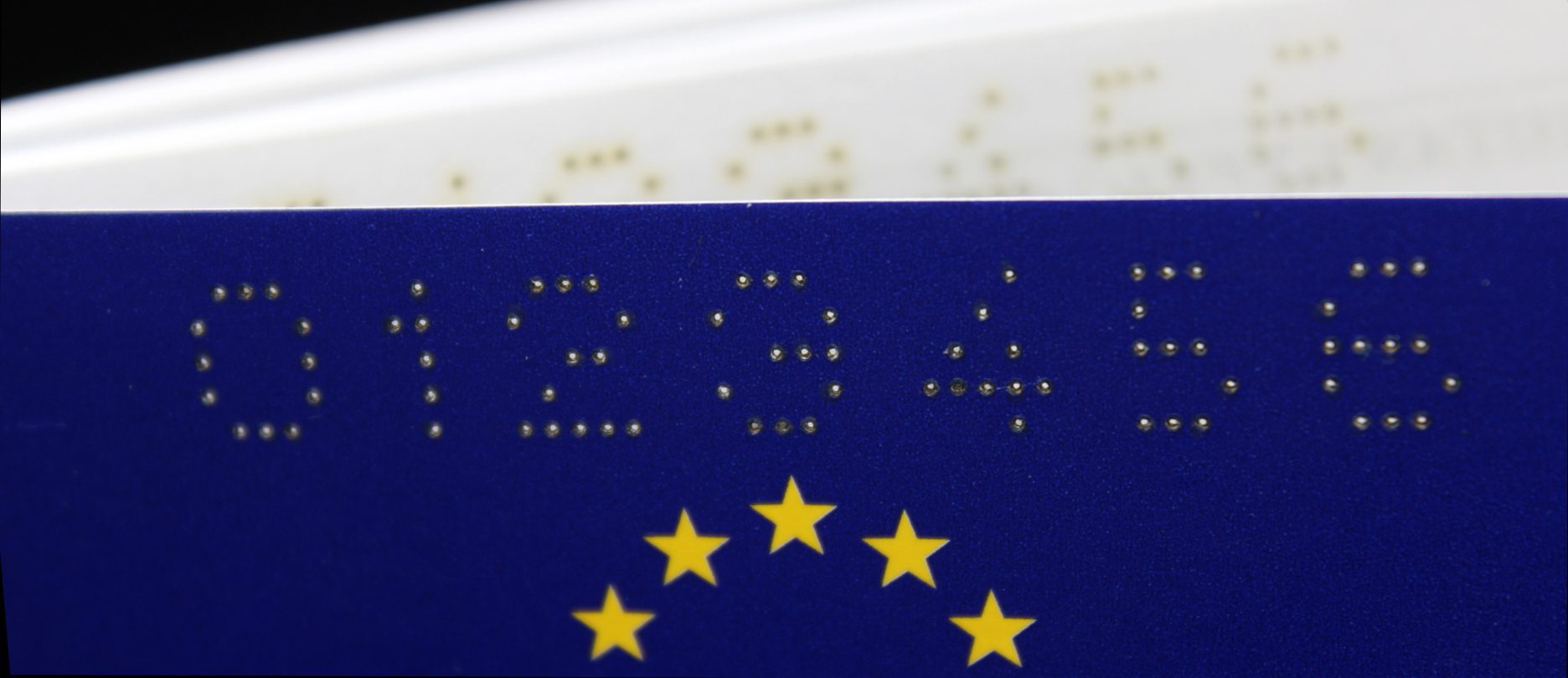 Perforation of coding numbers in pet passports
