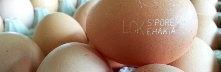Laser marking on a wet eggshell