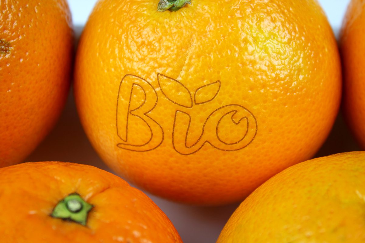 Laser Marking on Fruit